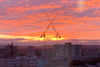 Flat 11/3, Fleming House, 134 Renfrew Street, Garnethill, Glasgow, G3 6ST - Picture #21