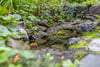 2a Kirklee Road, Kirklee, Glasgow, G12 0TN - Picture #58