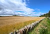 Dove Cottage, 3 Garvald Grange Cottages, Garvald, East Lothian, EH41 4LL - Picture #23