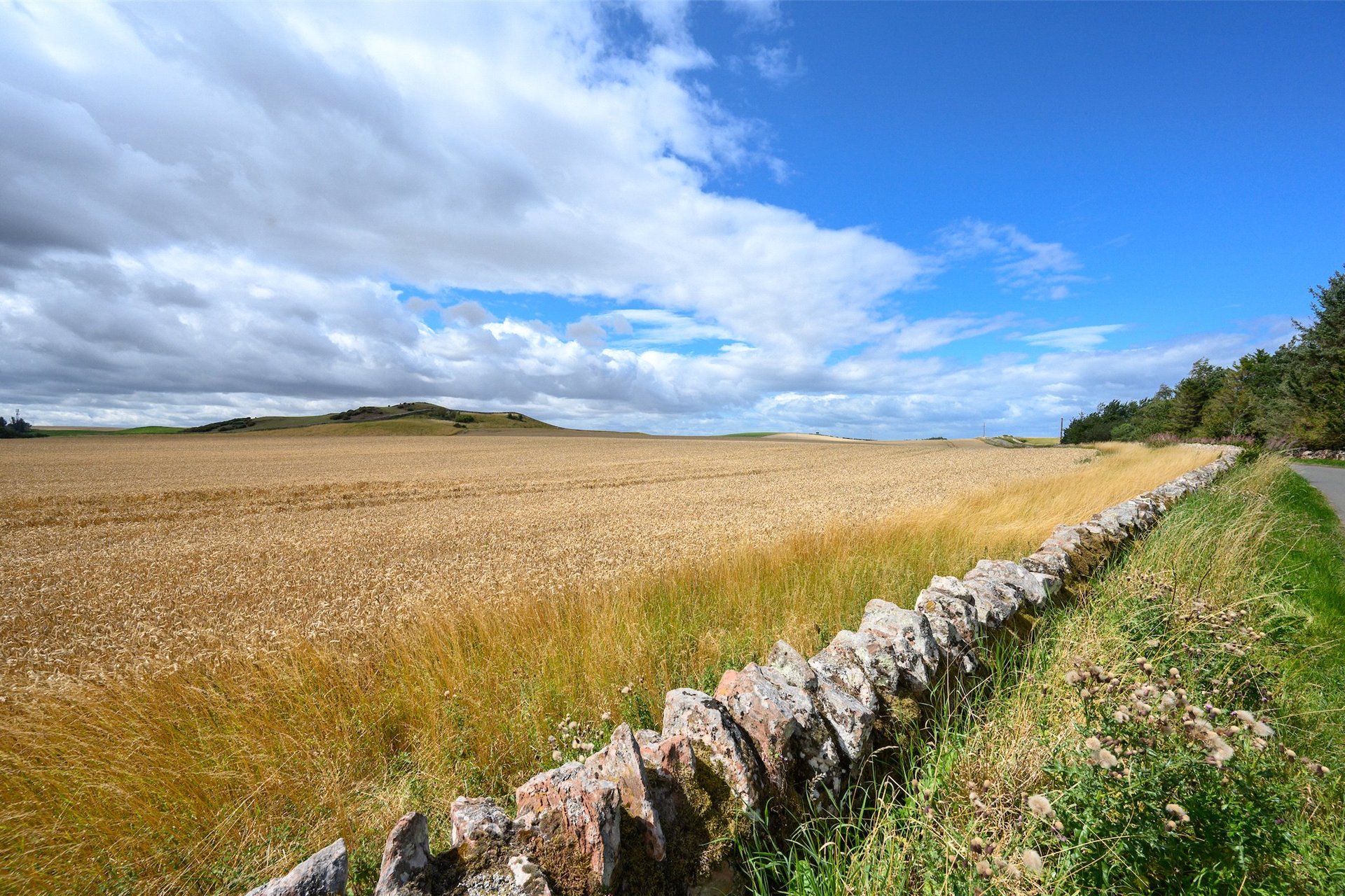 Dove Cottage, 3 Garvald Grange Cottages, Garvald, East Lothian, EH41 4LL - Picture #23