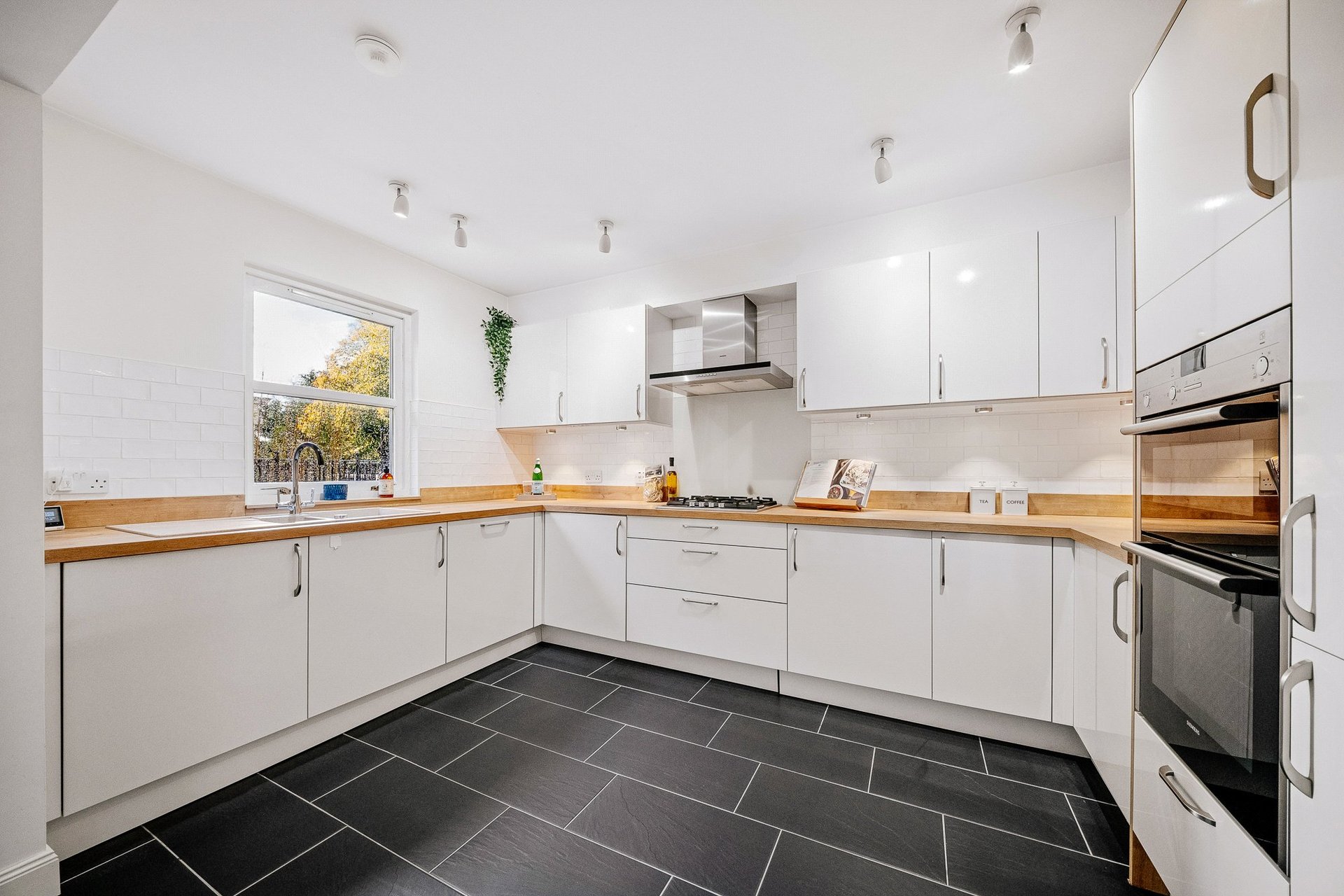24B/2 Polwarth Terrace, Merchiston, Edinburgh, EH11 1NA - Picture #9