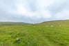 3 Hownam Mains Farm Cottages, Kelso, Scottish Borders, TD5 8AJ - Picture #14