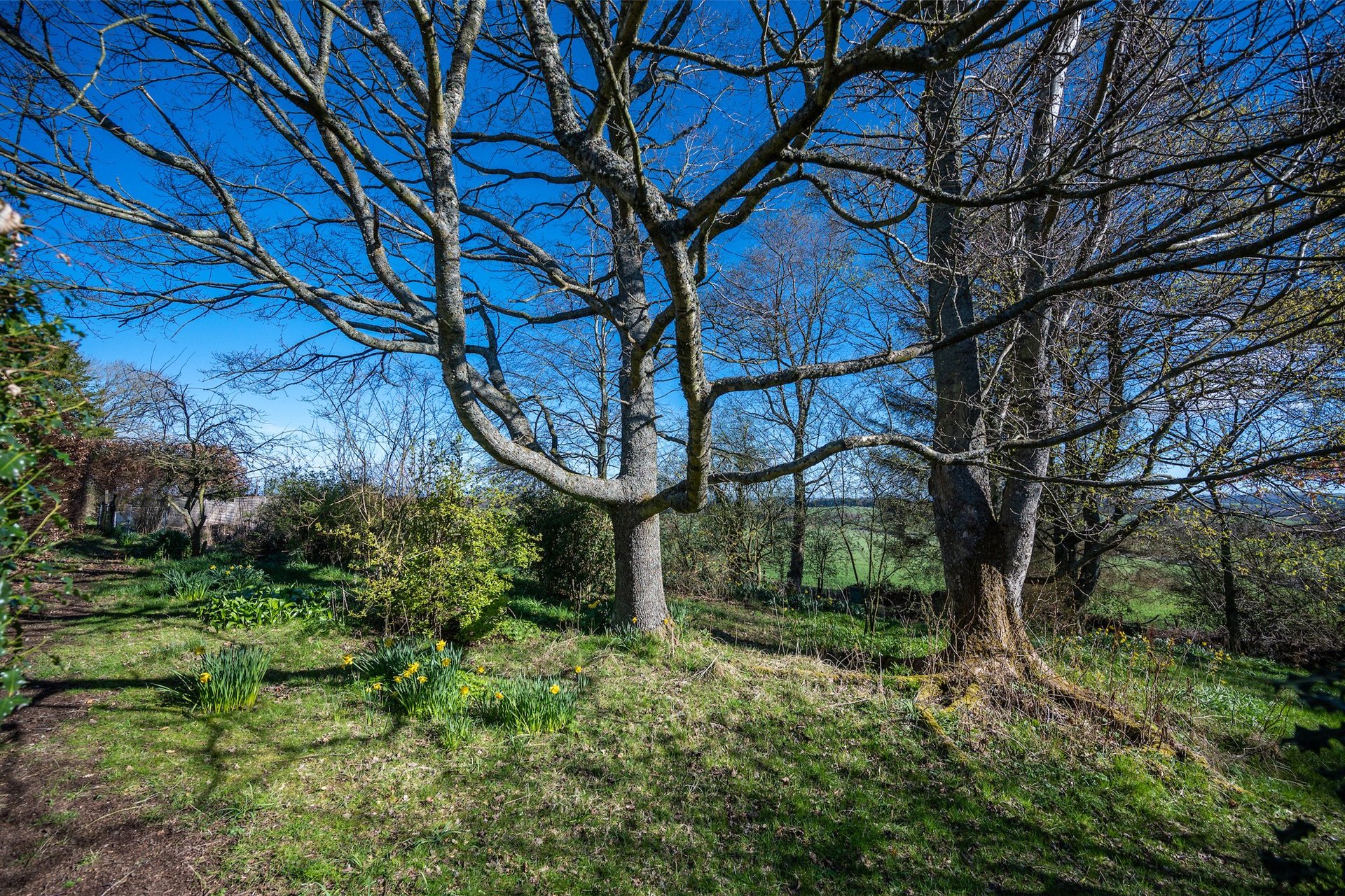 Sarnia, 25 Fala Village, Pathhead, Midlothian, EH37 5SY - Picture #23