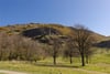 12 (1f2), Meadowbank Terrace, Edinburgh, Midlothian, EH8 7AR - Picture #13