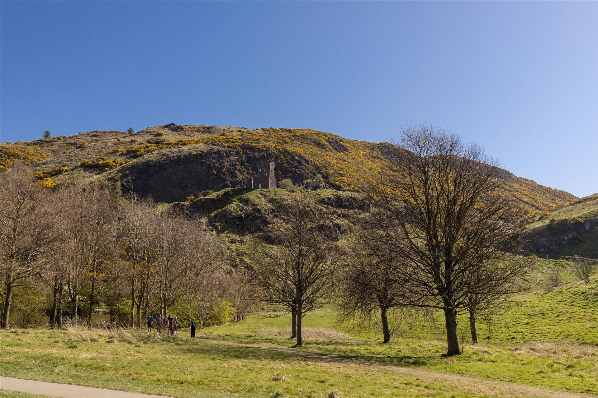 12 (1f2), Meadowbank Terrace, Edinburgh, Midlothian, EH8 7AR - Picture #13