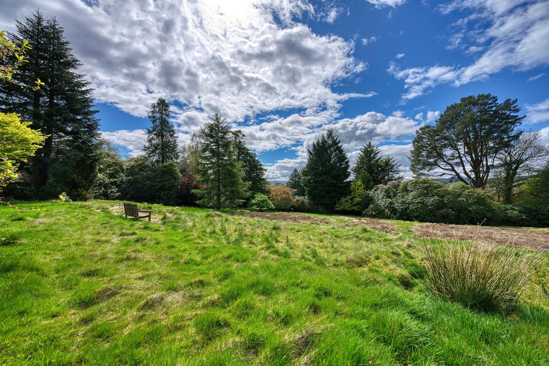 Auchengare, Station Road, Rhu, Helensburgh, Argyll and Bute, G84 8LW - Picture #21
