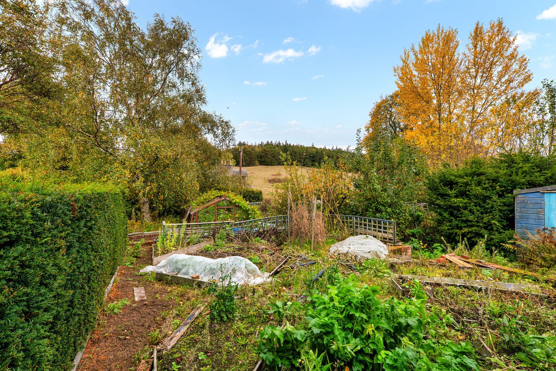 Cragdale, 31 Craigend Road, Stow, Galashiels, Scottish Borders, TD1 2RJ - Picture #38