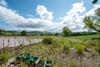 Pitnappie Farmhouse, By Newtyle, Blairgowrie, Angus, PH12 8UR - Picture #14