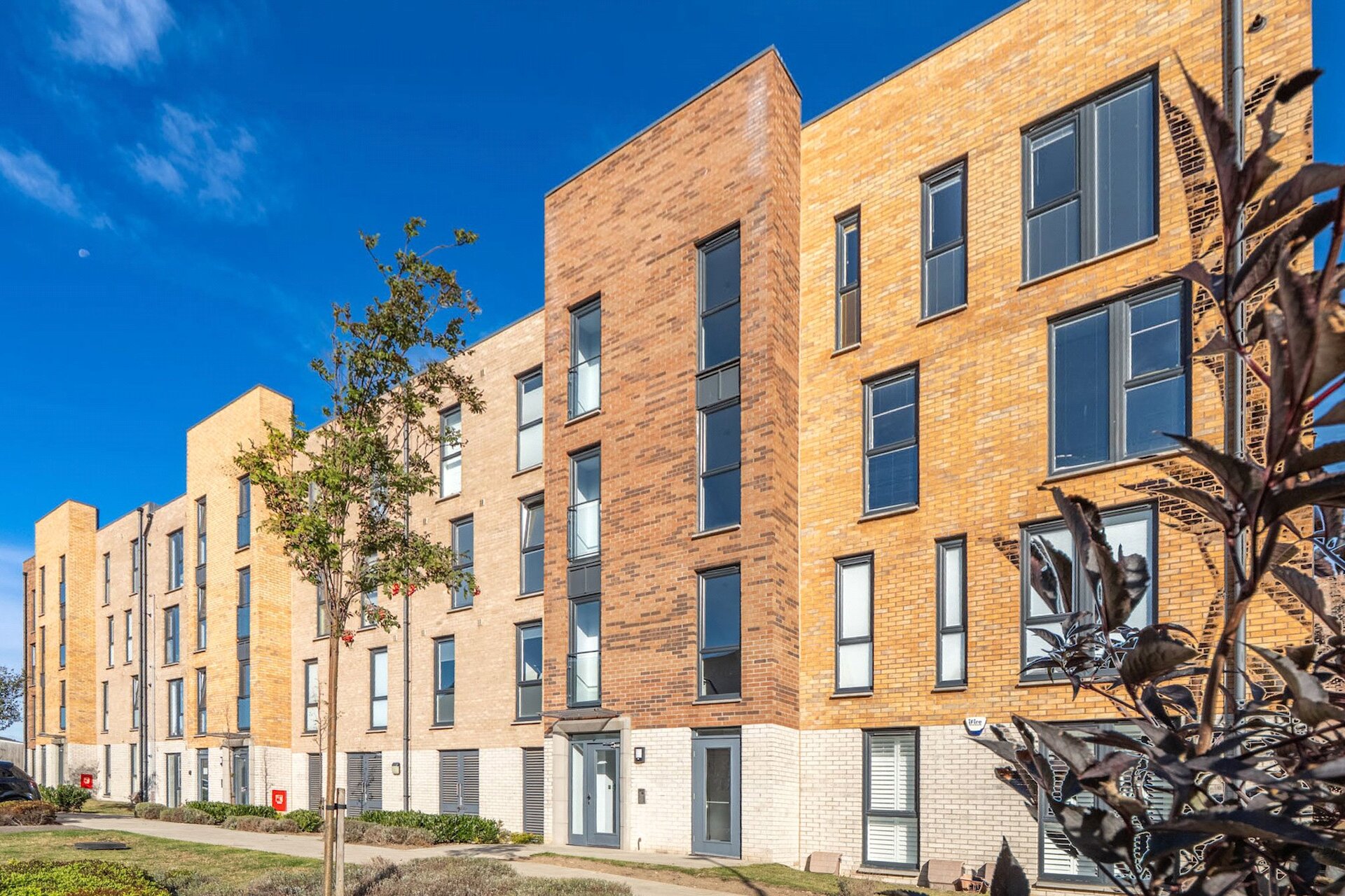Flat 7, 6 Barnie Terrace, Edinburgh, Midlothian, EH15 1BU - Picture #1