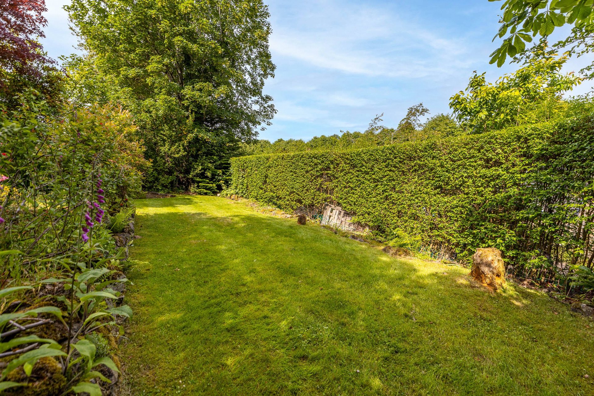 6 Craigmillar Avenue, Milngavie, G62 8AU - Picture #2