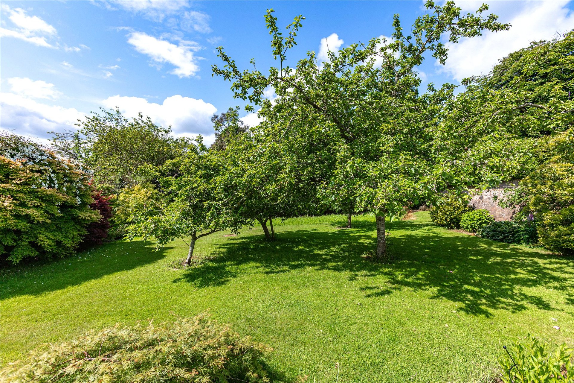 Inglewood, Preston Road, Duns, Scottish Borders, TD11 3DZ - Picture #17