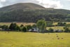 Lot 1 - 24 Damhead, 24 Damhead, Lothianburn, Edinburgh, EH10 7EA - Picture #33