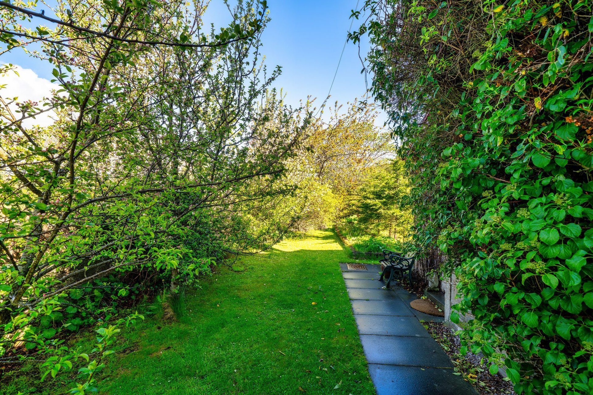 Garden Cottage, Crookston, Heriot, Midlothian, EH38 5YS - Picture #30