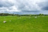 5 Milldeans Farm, Milldeans, Star, Fife, KY7 6LW - Picture #11