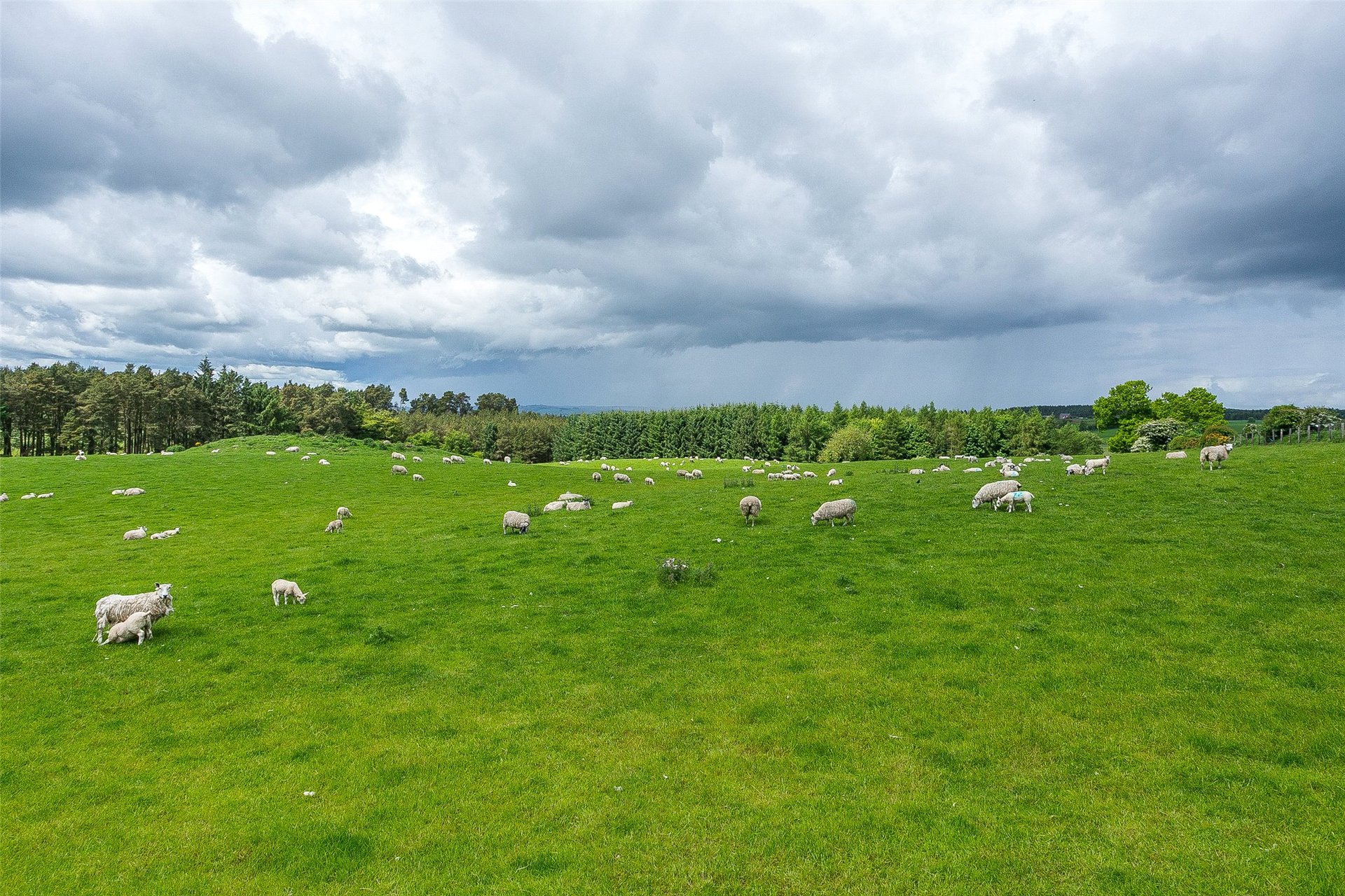 5 Milldeans Farm, Milldeans, Star, Fife, KY7 6LW - Picture #11