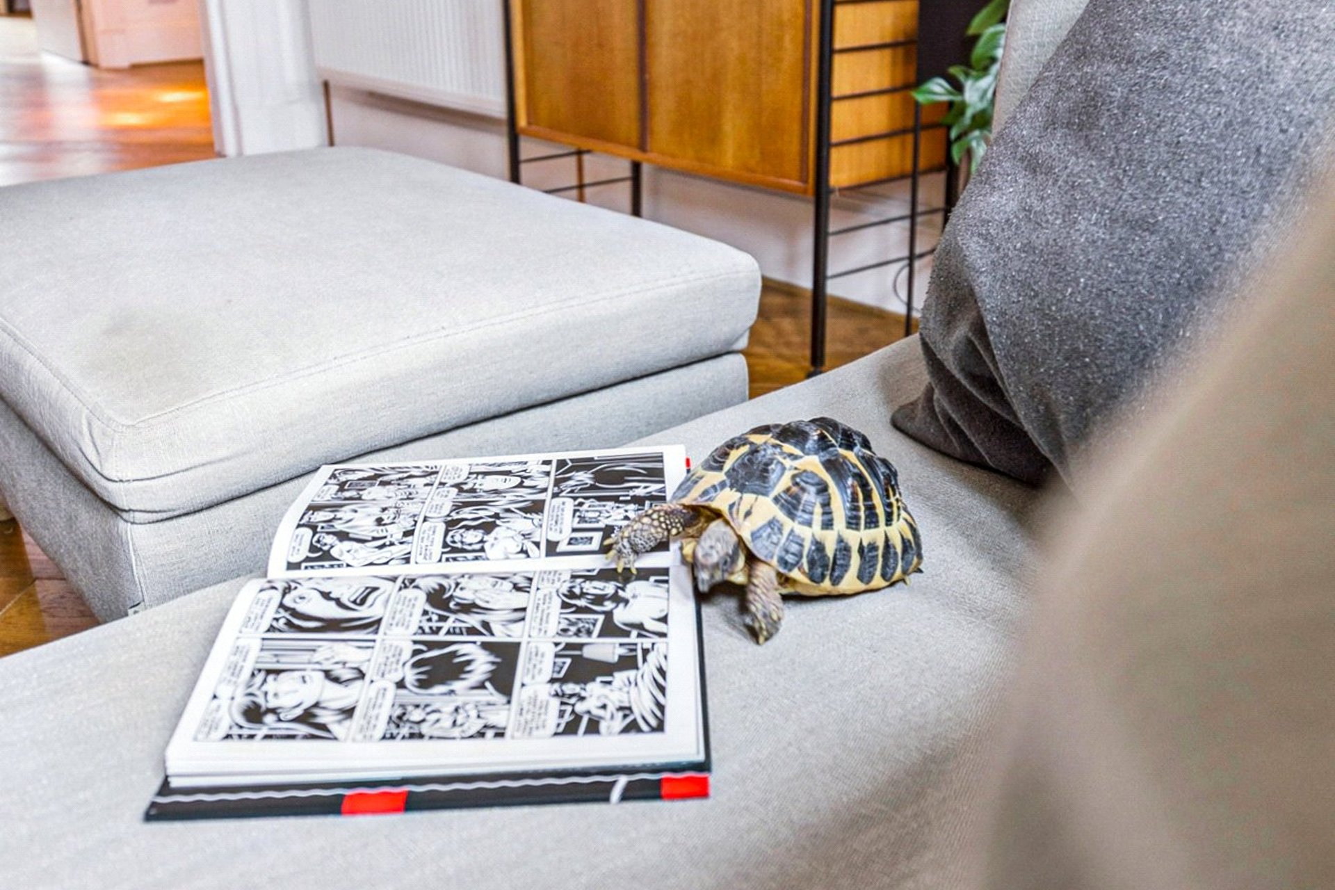 Flat 2/2, 21 Gibson Street, Hillhead, Glasgow, G12 8NU - Picture #28