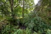 The Milton, Auchterarder, Perth and Kinross, PH3 1DP - Picture #26