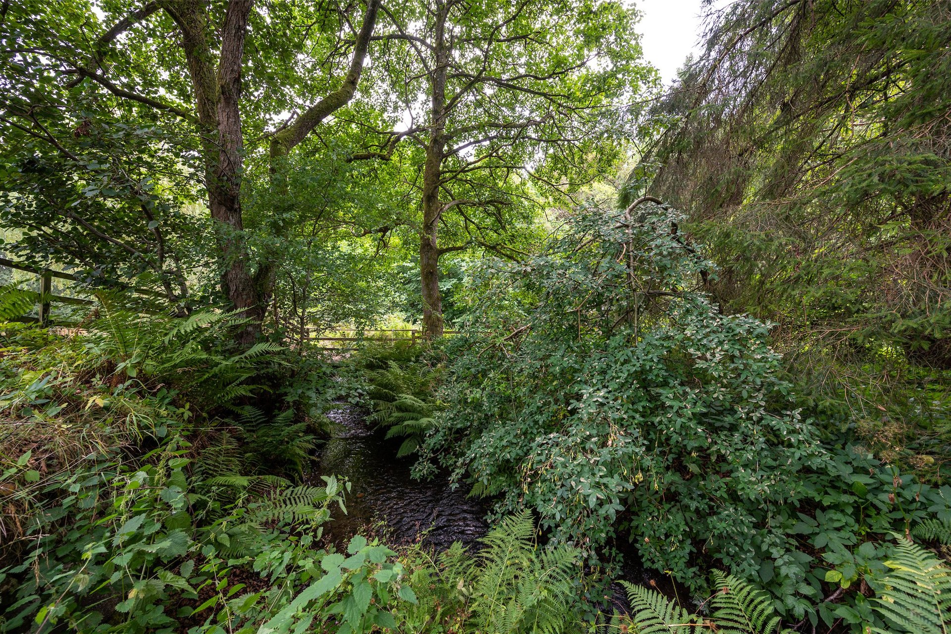 The Milton, Auchterarder, Perth and Kinross, PH3 1DP - Picture #26