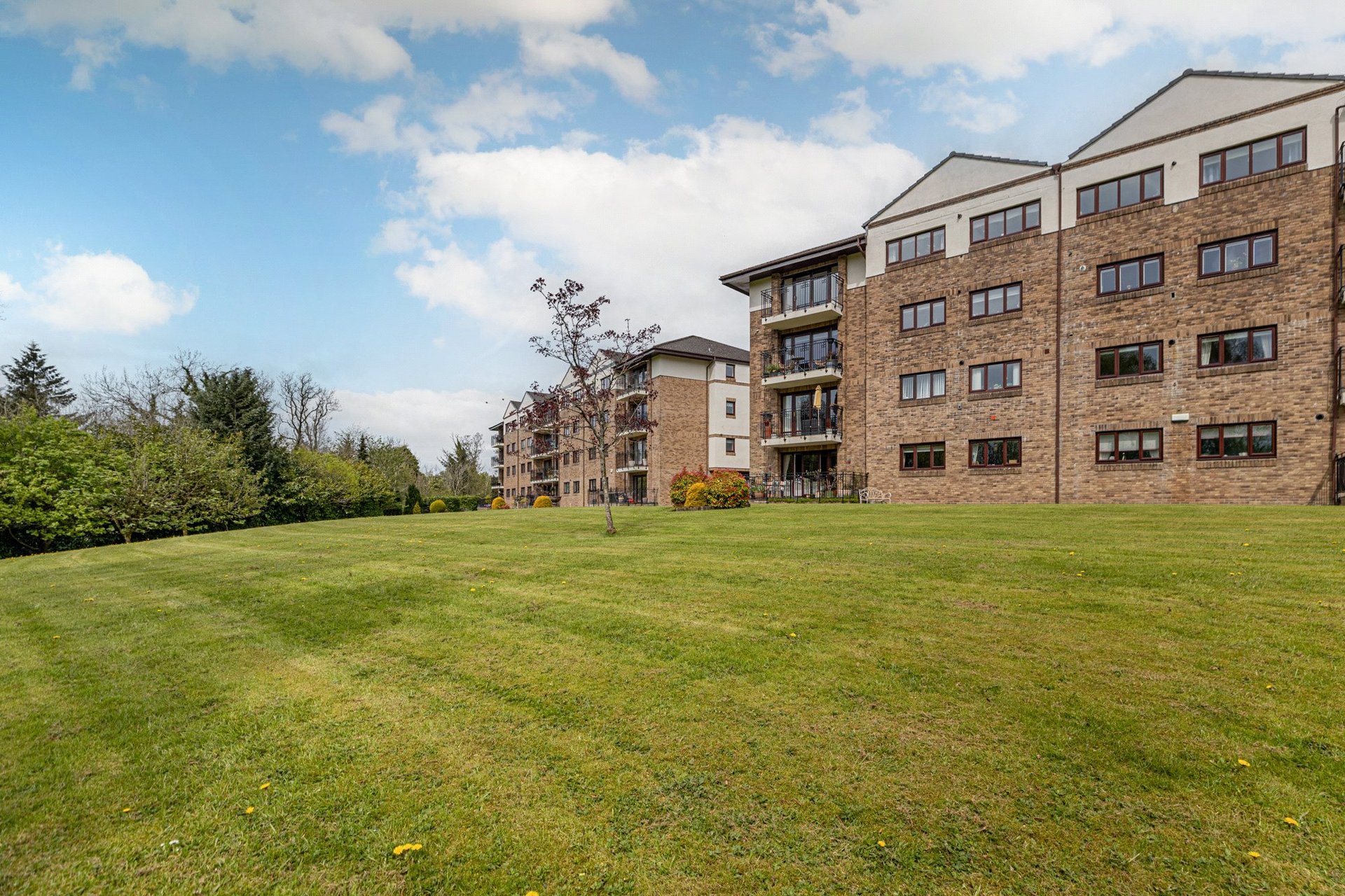 22 Ravenscourt, Thorntonhall, Glasgow, South Lanarkshire, G74 5AZ - Picture #31