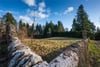 Keillour Castle, Methven, Perth, PH1 3RA - Picture #34