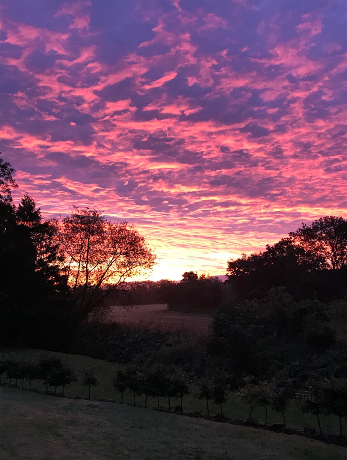 sunset photo
