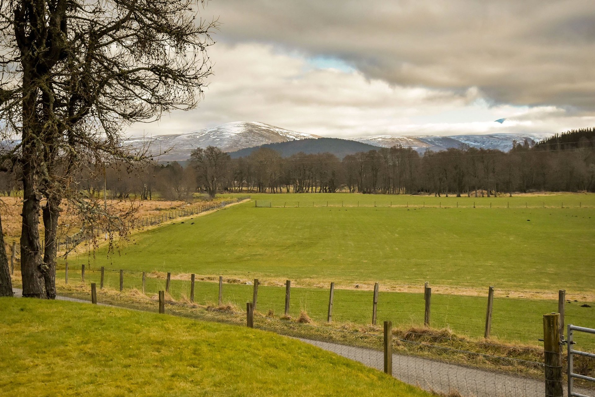 Mountain Bear Lodge, Nethy Bridge, Inverness-Shire, PH25 3DY - Picture #45