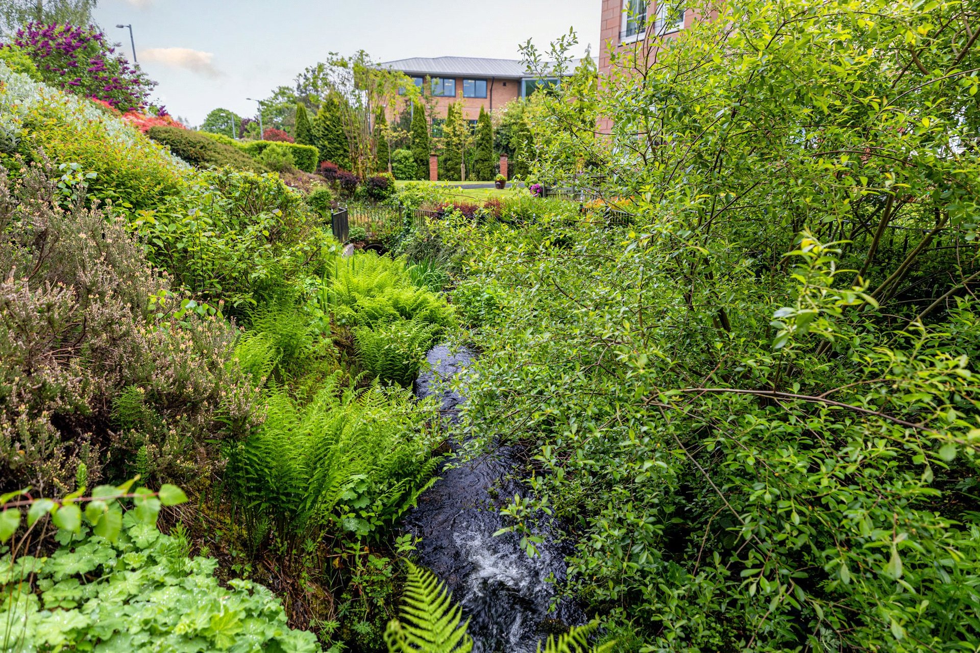 77 Ellangowan Court, Milngavie, G62 8PP - Picture #28
