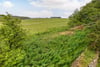Woodstock, Roebank Road, Uplawmoor, Glasgow, East Renfrewshire, G78 4BW - Picture #27