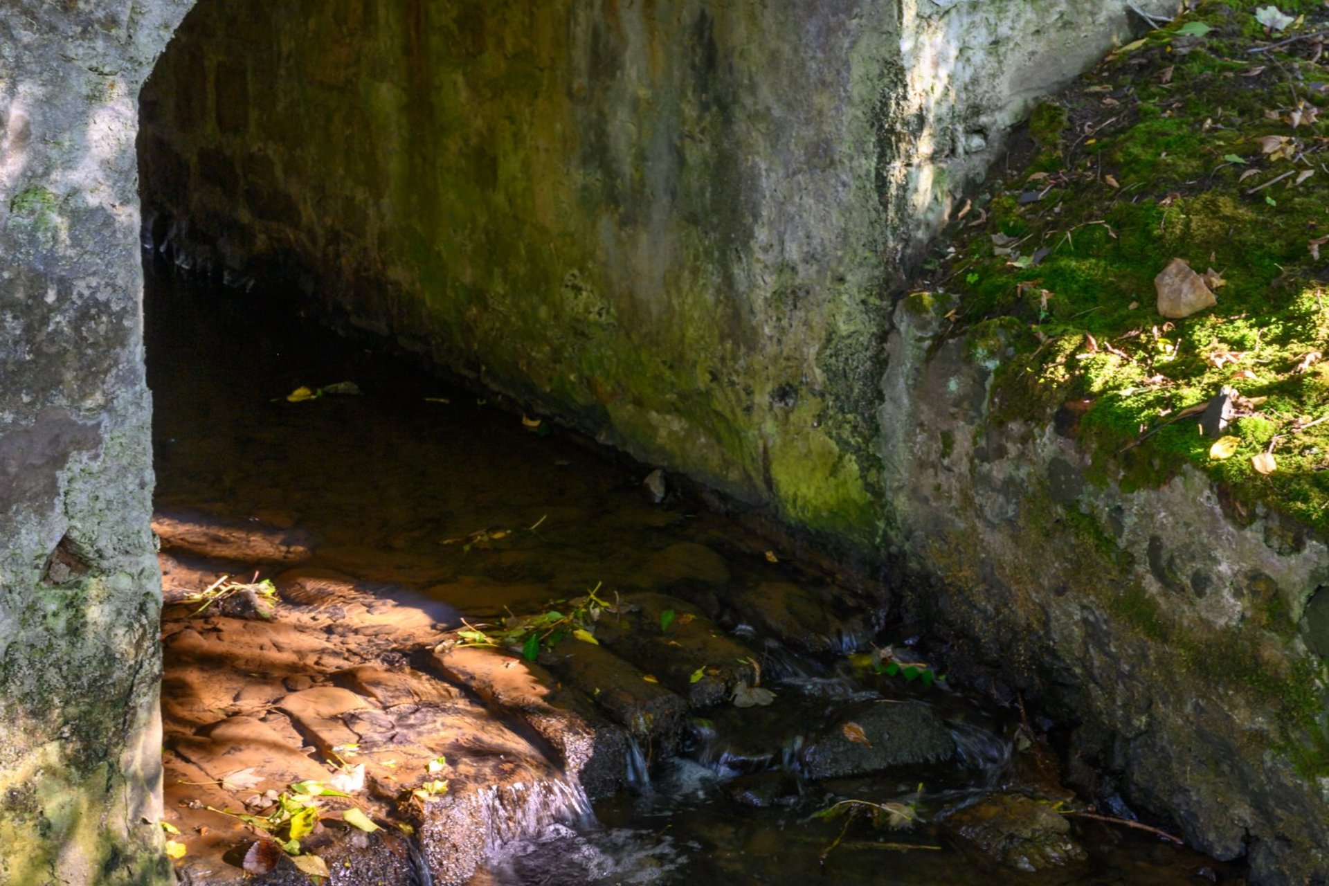 Pirwindy Keep, Pirwindy, By Largo, KY8 5QJ - Picture #45