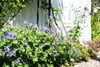 Dunholm, 10 Ladywynd, Kingsbarns, St. Andrews, KY16 8SU - Picture #37