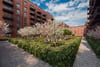 Plot 27, The North Village West, The New Village, Edinburgh, EH12 9DT - Picture #11