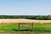 Housekeepers Cottage, Biel, Dunbar, East Lothian, EH42 1SY - Picture #19