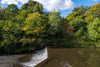 4 Old Dalmore Gardens, Auchendinny, Penicuik, Midlothian, EH26 0RR - Picture #2