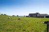 Crossridge Holding, Carmichael, Biggar, South Lanarkshire, ML12 6NG - Picture #25