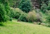 Woodend, Mousebank Road, Lanark, ML11 7TD - Picture #61