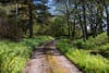 Glencreggan House, Glenbarr, Tarbert, Argyll, PA29 6UT - Picture #28