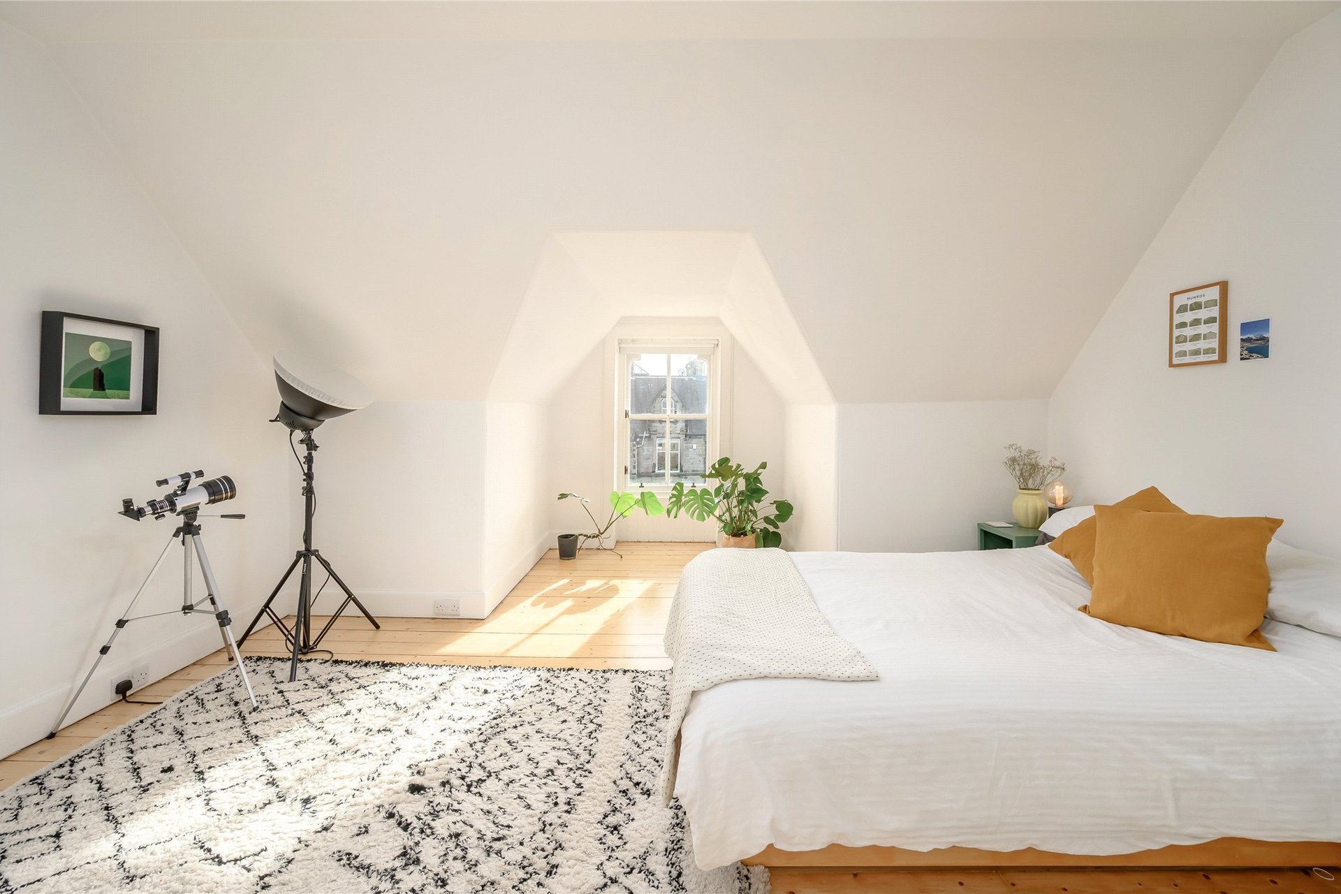 8 Zetland Place, Edinburgh, EH5 3LY - Picture #11