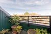19/9 South Gray Street, Newington, Edinburgh, EH9 1TE - Picture #15
