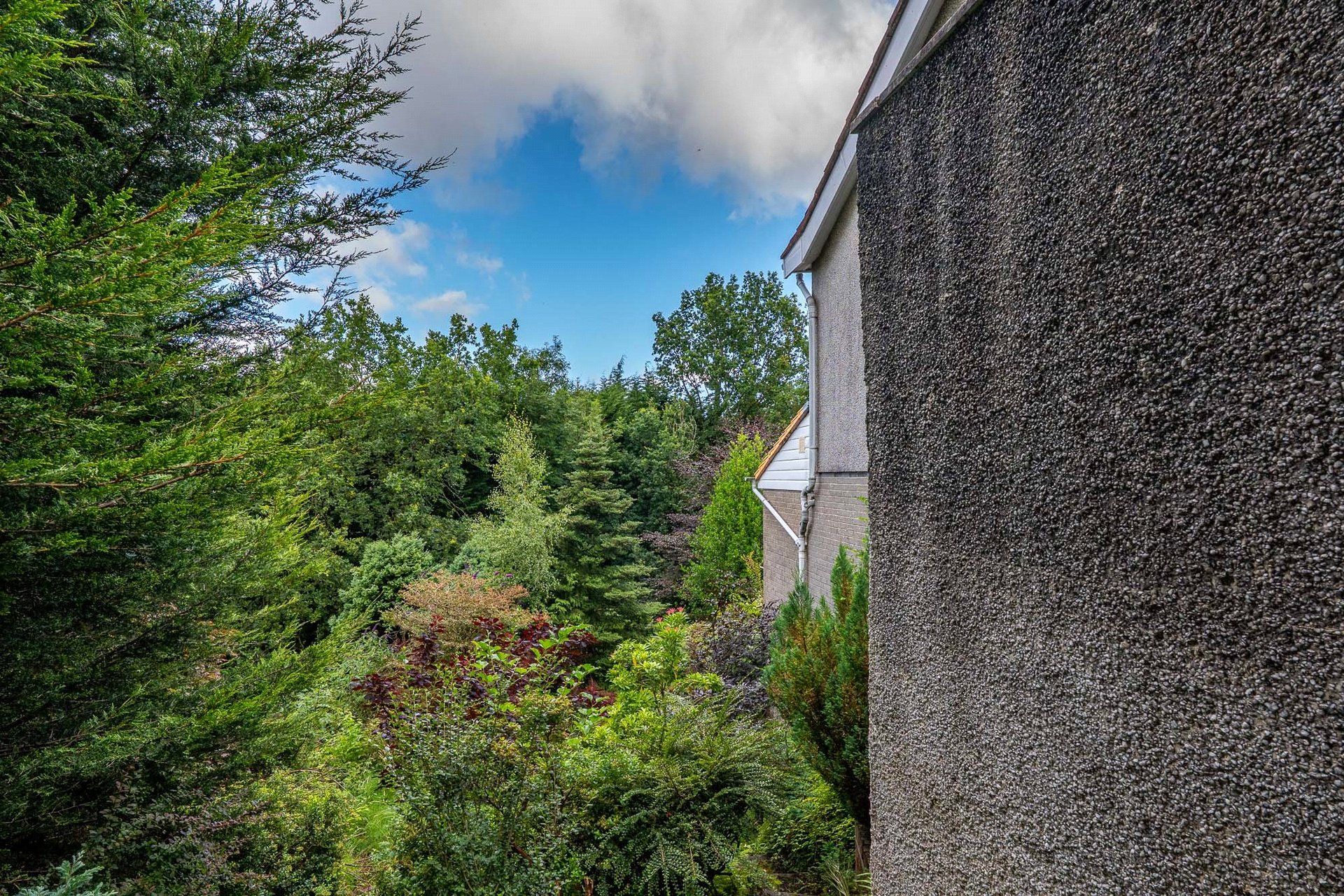 48 Campsie Drive, Milngavie, G62 8HY - Picture #35