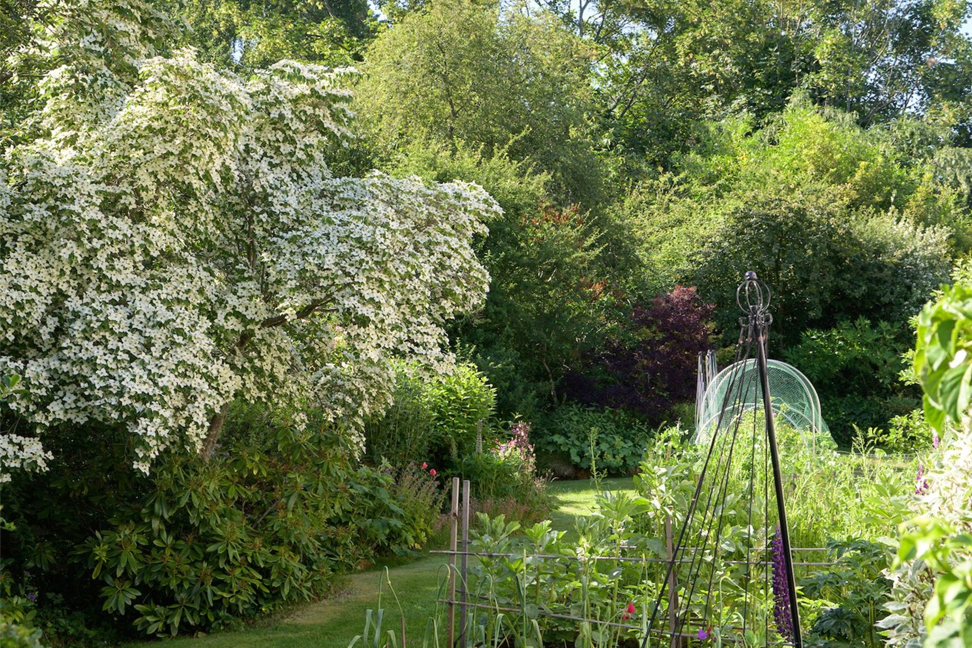 Fawnwood Cottage, 21B Station Road, Gifford, Haddington, East Lothian, EH41 4QL - Picture #22
