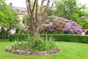Flat 4, 15 Lynedoch Street, Park, Glasgow, G3 6EF - Picture #18
