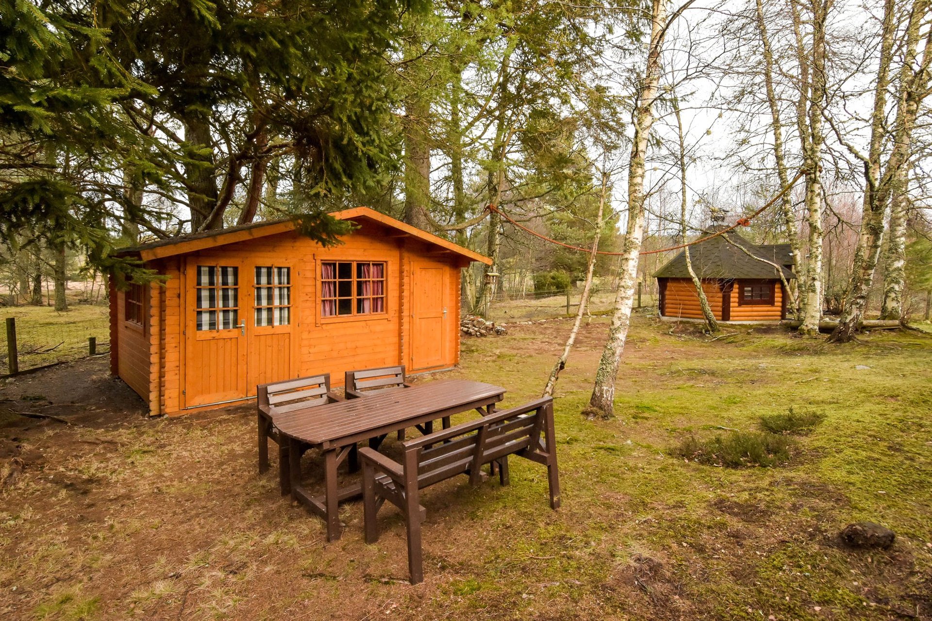 Mountain Bear Lodge, Nethy Bridge, Inverness-Shire, PH25 3DY - Picture #41