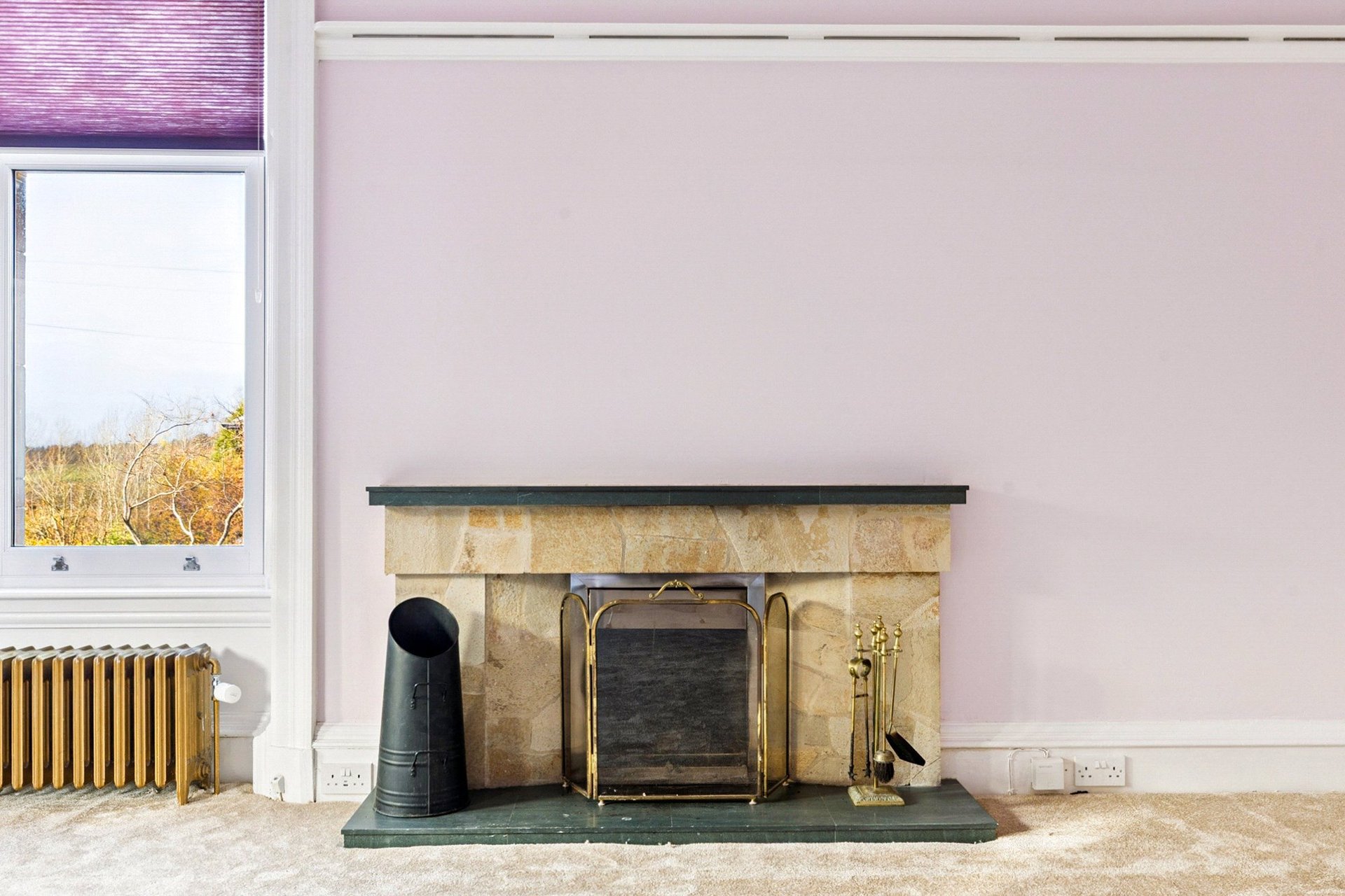 47 Hillside Road, Mansewood, Glasgow, G43 1BY - Picture #4