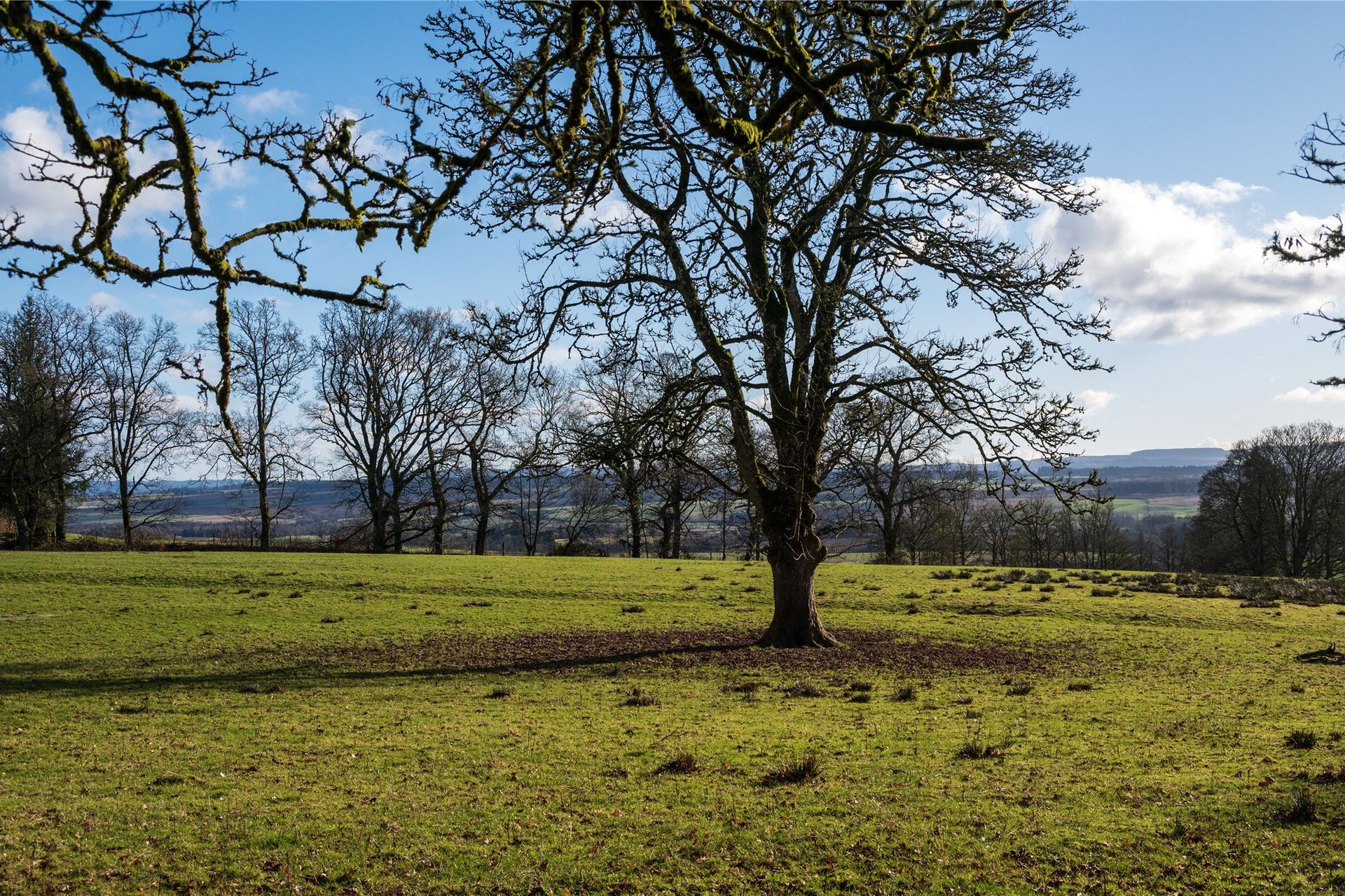 Keillour Castle, Methven, Perth, PH1 3RA - Picture #48