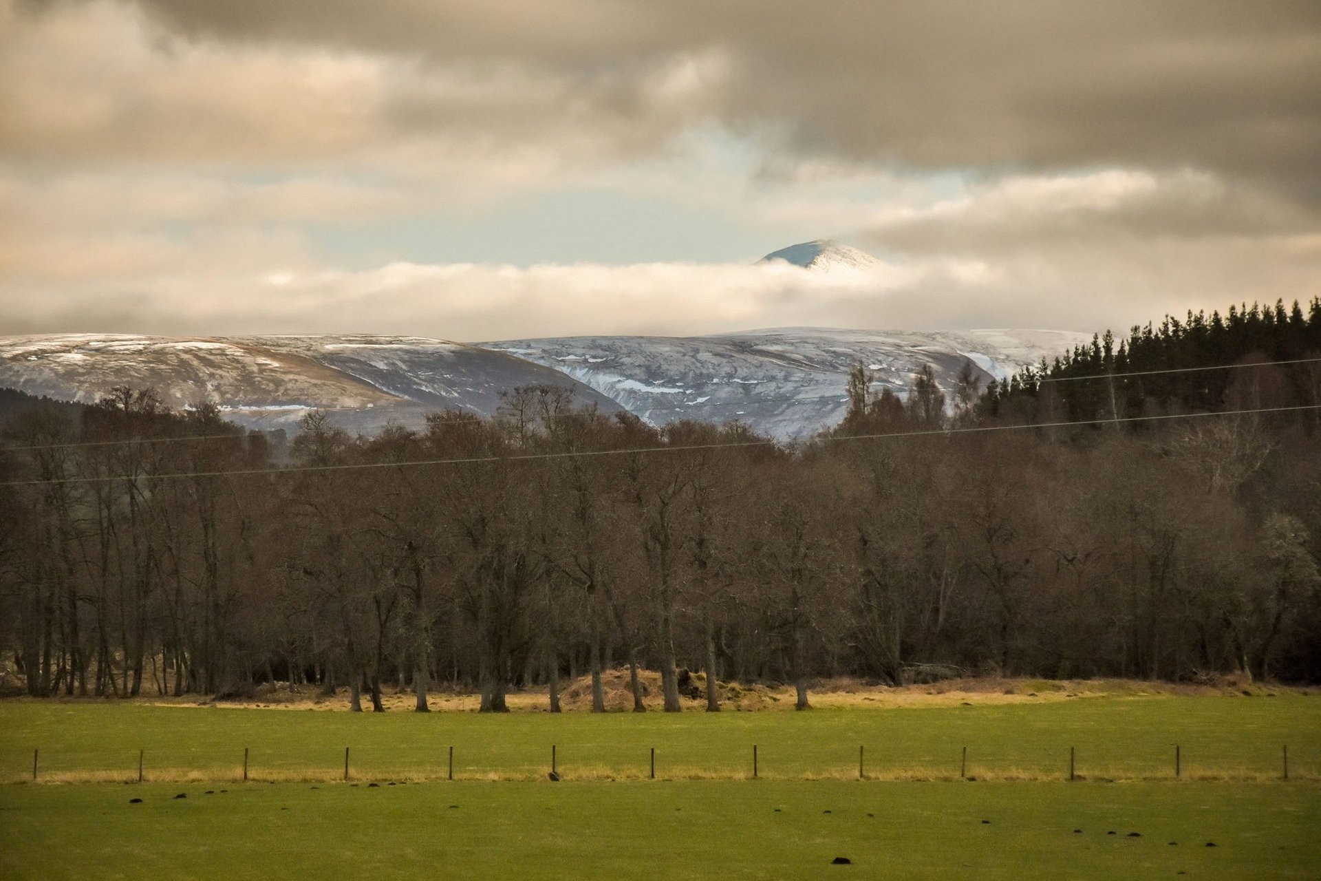 Mountain Bear Lodge, Nethy Bridge, Inverness-Shire, PH25 3DY - Picture #46