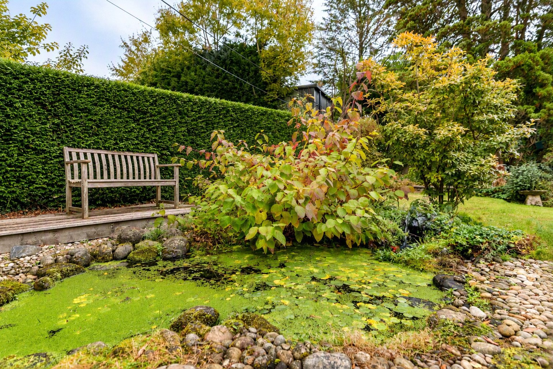 23 Hillcrest Road, Bearsden, Glasgow, East Dunbartonshire, G61 2ED - Picture #35