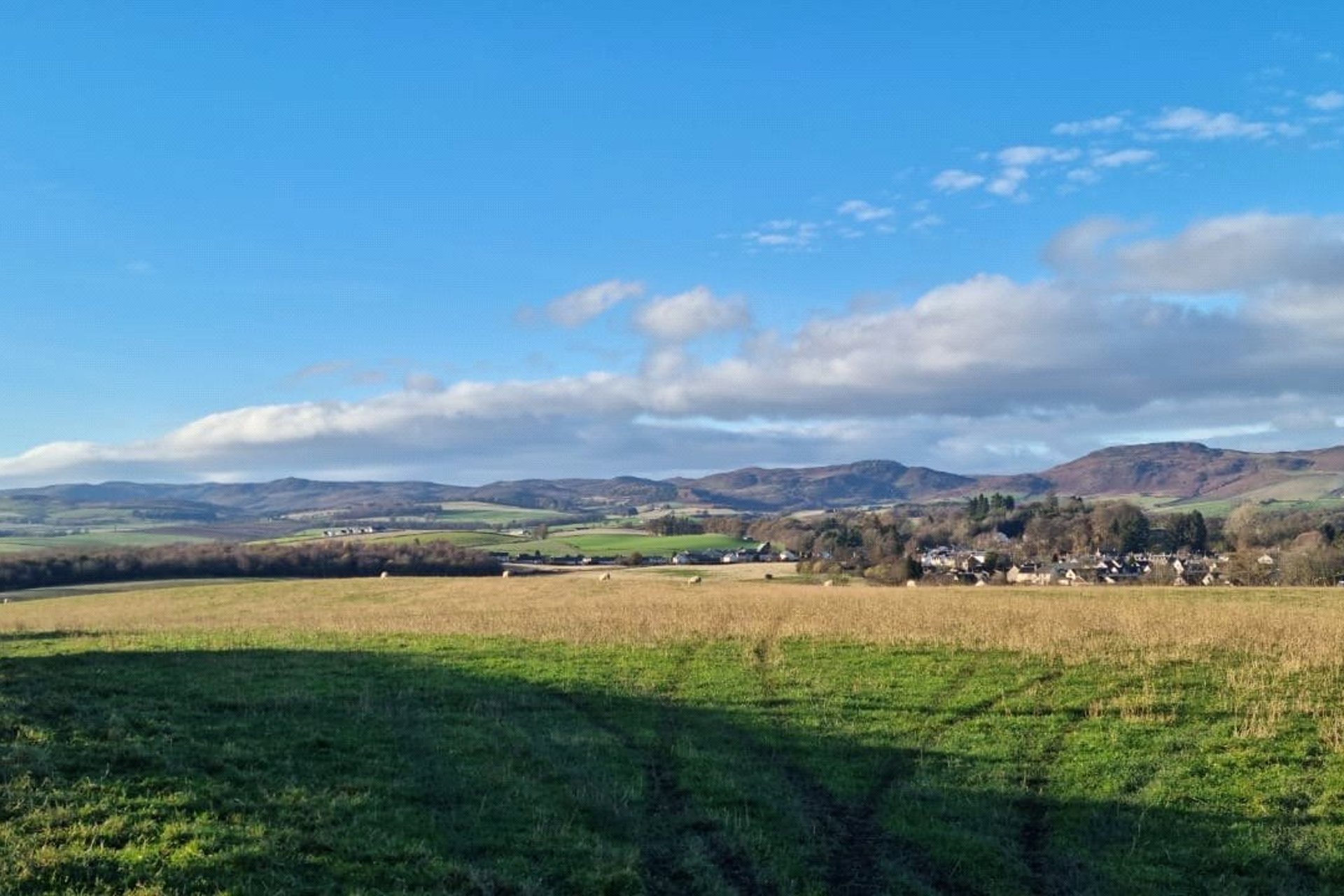 Ardonachie Farm, Bankfoot, Perth, Perth and Kinross, PH1 4DY - Picture #17