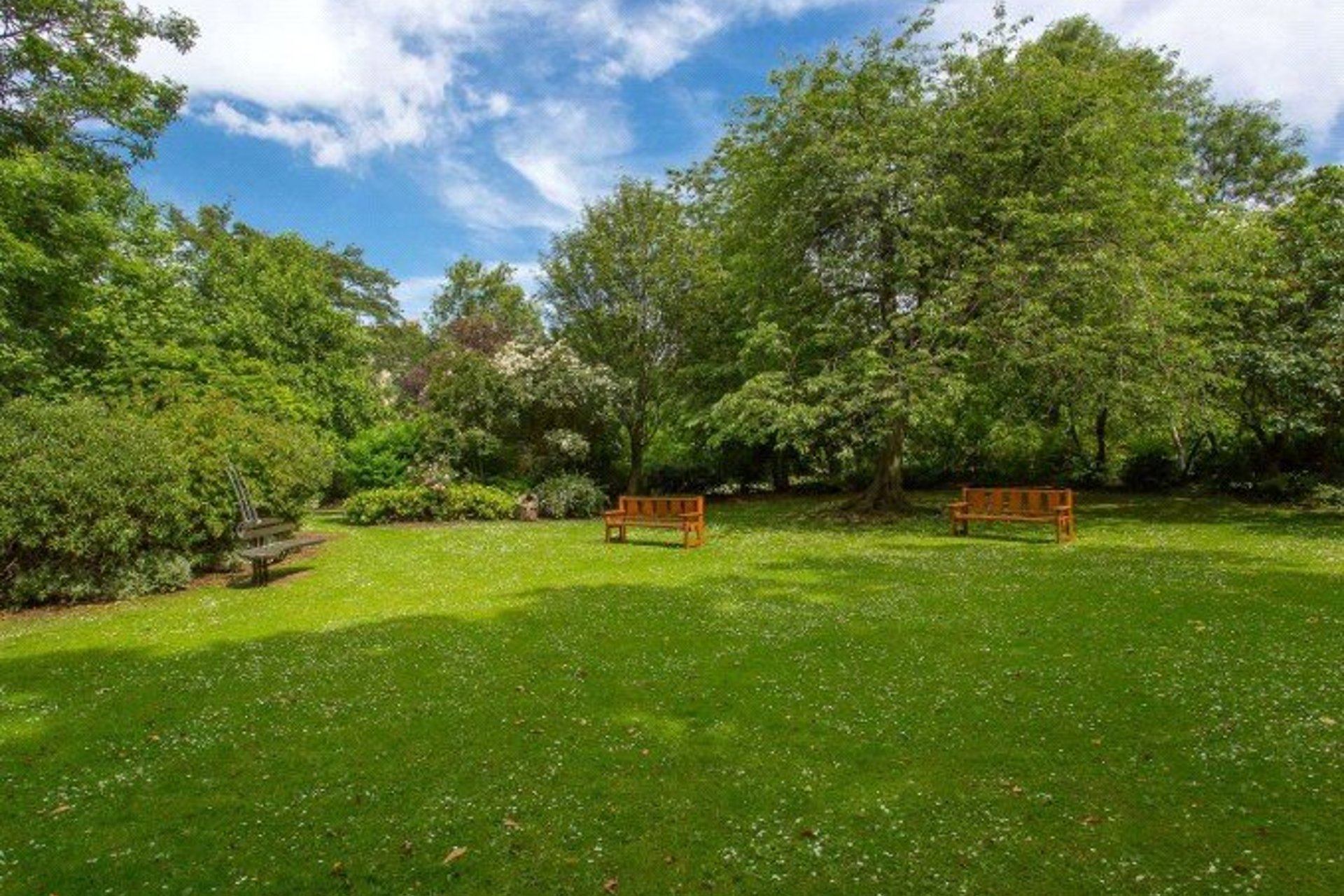 24A Drummond Place, Edinburgh, Midlothian, EH3 6PN - Picture #26