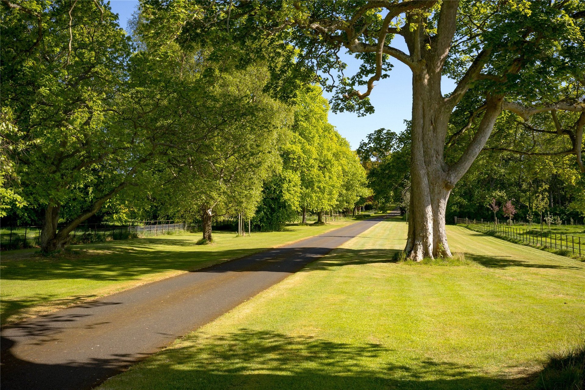 Stevenson House, Haddington, East Lothian, EH41 4PU - Picture #49