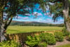 1 Rutherford Castle Green, West Linton, Scottish Borders, EH46 7AW - Picture #2